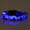 Leuchthalsband, Halsband led, Hundehalsband leuchtend