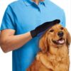 Fellpflege-Handschuh, Halsband mit Schriftzug, Halsband, Hundehalsband, Hunde Zubehör, Pet-Shop, Tierhandlung, Zubehör für Haustiere, Zoohandlung, Hundeweste, halsband für hund, led halsband, Leut Halsband, Hundenapf, Fressnapf, Katzenbaum, Hundegeschier, Hundefutter, Tier Equipment, Hunde Spielzeug, Fressnapf, Haustiere, Zubehör für Haustiere, Tierwelt, Animalia, Lederhalsband, Halsband, Haustierzubehör, Haustierspielzeug, Halsband gravieren, Halsband mit Gravur