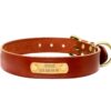 Leder Hundehalsband mit Gravur
