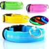 Hund Halsband LED Licht