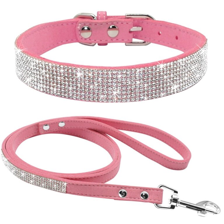 Newtensina Hundehalsband & Leine Set – Bling Design, Wildleder, Für Kleine Bis Mittlere Hunde