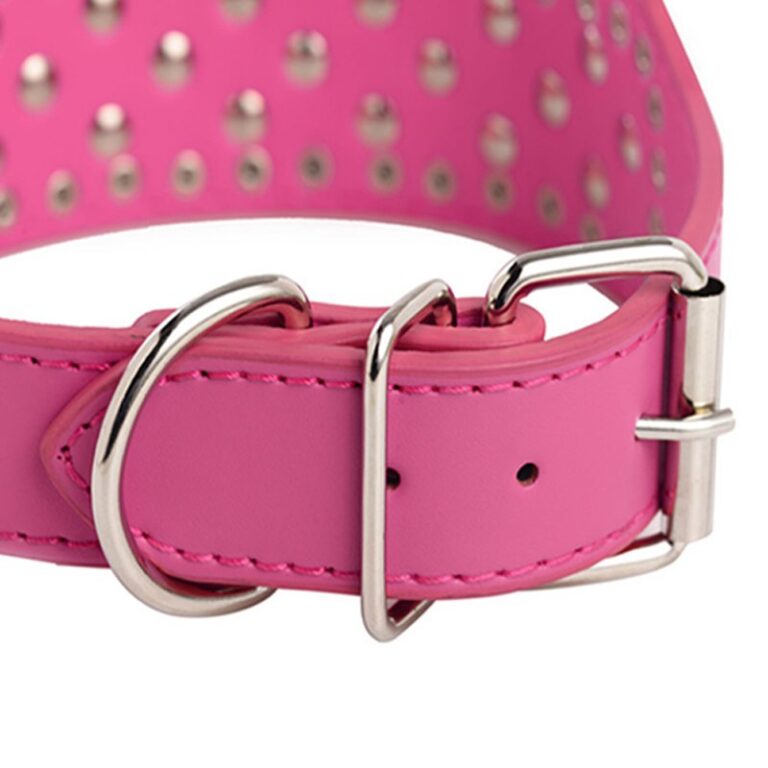 Haustier-Halsband Mit Prinzessinnen-Motiv – Spitze & Perlen Für Katzen & Kleine Hunde