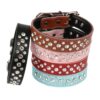 Lederhalsband mit Steinen, Hunde-Halsband mit Gravur, Schmuck Ketten für Hunde Hundeschmuck, Hundehalsband mit Diamanten, Beverly Hills Chihuaua Halsband