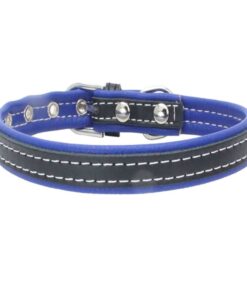 Leder-Halsband für Hunde, Onlineshop für Tierbedarf Leinen und Halsbänder mit Gravur