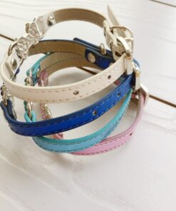 Leder-Halsband für Hunde, Onlineshop für Tierbedarf Leinen und Halsbänder mit Gravur