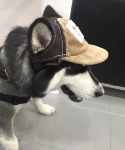 baseballmütze für Hunde, Baseball-Cap für Hund