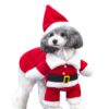 Hundekostüm Weihnachten Hunde