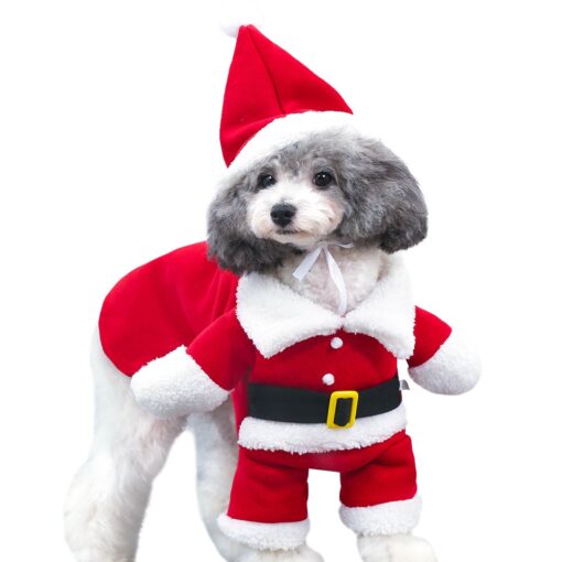 Hundekostüm Weihnachten Hunde