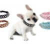 Halsband mit Nieten, Nietenhalsband für Hunde