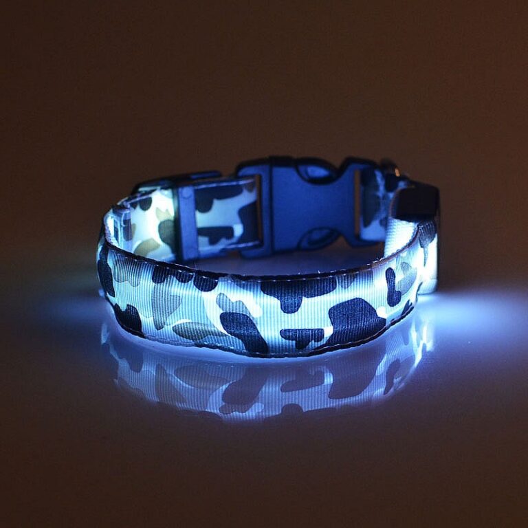 Arquivet LED-Halsband Für Hunde – Leuchtendes Nylon-Halsband, Größe L (48-60 Cm), Rot Für Nachtsicht