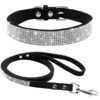 Hunde-Sicherheitsgurt Auto, Fellpflege-Handschuh, Halsband mit Schriftzug, Halsband, Hundehalsband, Hunde Zubehör, Pet-Shop, Tierhandlung, Zubehör für Haustiere, Zoohandlung, Hundeweste, halsband für hund, led halsband, Leut Halsband, Hundenapf, Fressnapf, Katzenbaum, Hundegeschier, Hundefutter, Tier Equipment, Hunde Spielzeug, Fressnapf, Haustiere, Zubehör für Haustiere, Tierwelt, Animalia, Lederhalsband, Halsband, Haustierzubehör, Haustierspielzeug, Halsband gravieren, Halsband mit Gravur