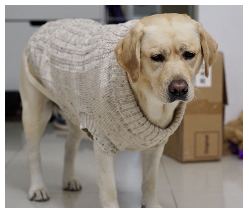 ABRRLO Haustier Kapuzenpullover HundePullover Weihnachten Hund Pullover Winter für Kleine Mittelgroße Hund 