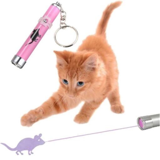 Katzen-Laser Maus