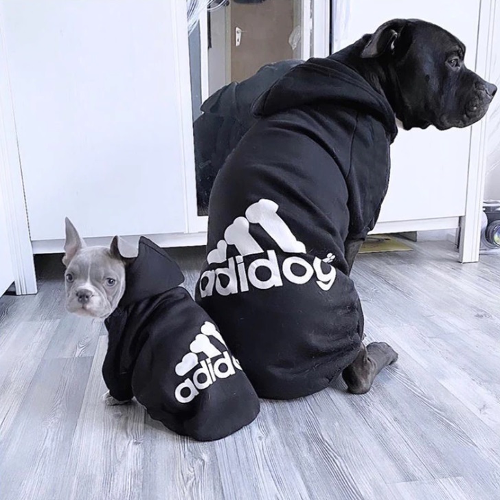 Eastlion Adidog Hund Pullover Welpen-T-Shirt Warm Pullover Mantel Pet Kleidung Bekleidung 