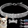 Glitzer Halsband "Chihuahua"
