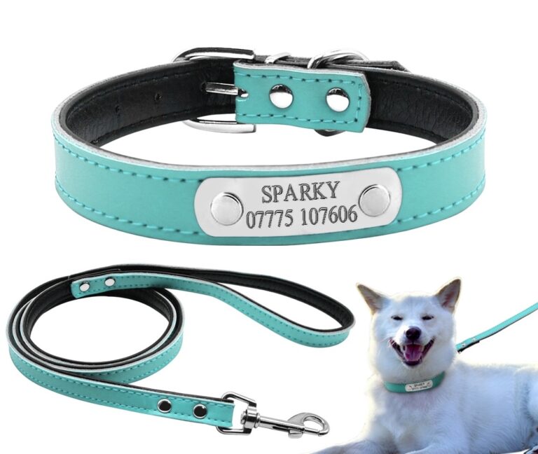 Beirui Hundehalsband & Leine Set Mit Blumenmuster – Personalisierbar, Größe M, Sonnenblume