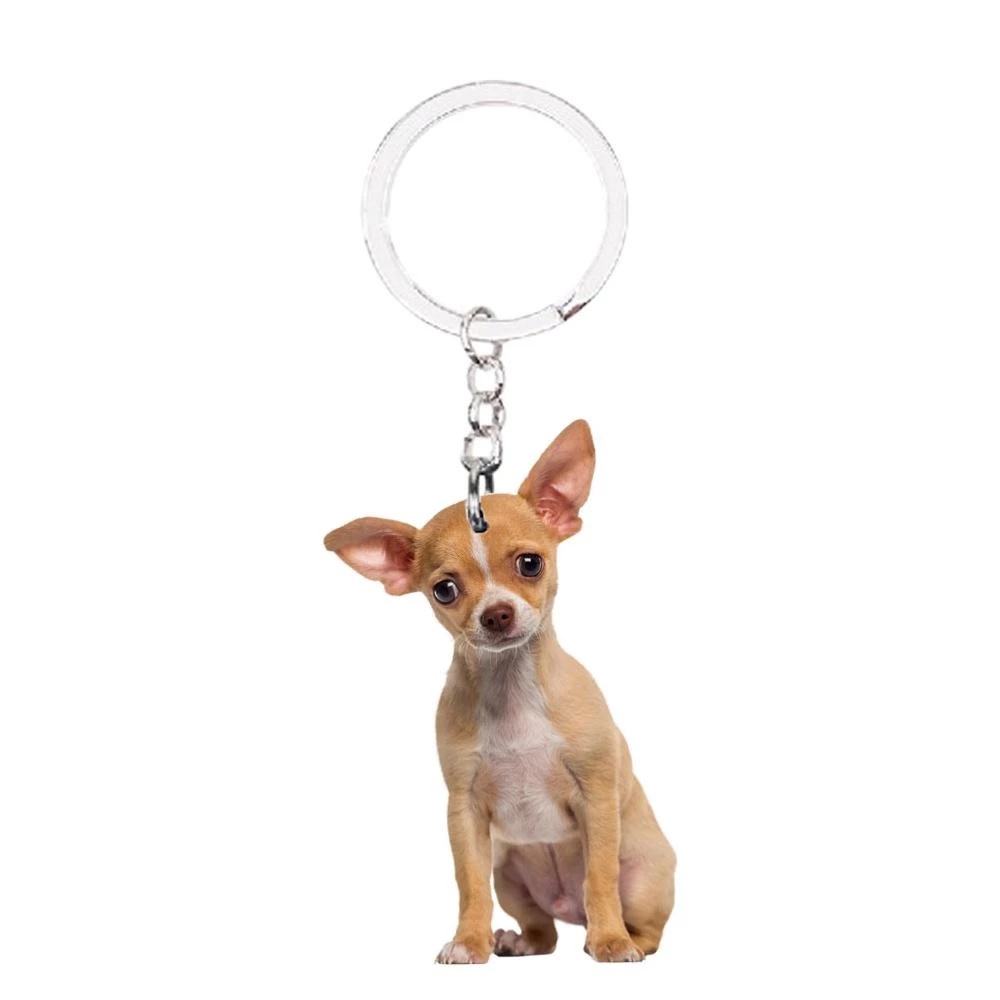 Foto Hunde Schlüsselanhänger kaufen