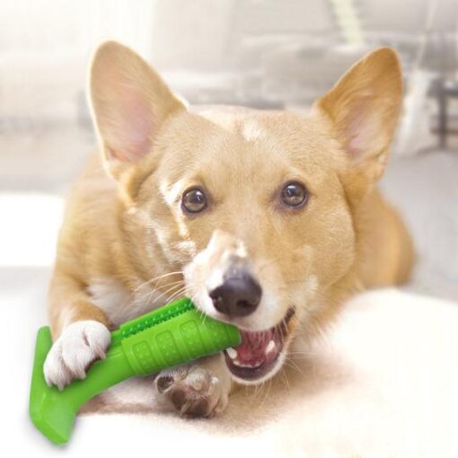 Zahnreinigungs-Spielzeug für Hunde, Hundezahnbürste-Spielzeug, Mundpflege für Hunde, Kau-Spielzeug, Hundezahnbürste