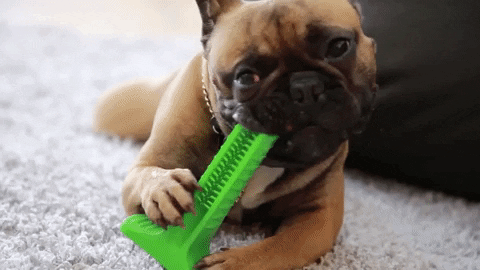Zahnreinigungs-Spielzeug für Hunde, Hundezahnbürste-Spielzeug, Mundpflege für Hunde, Kau-Spielzeug, Hundezahnbürste