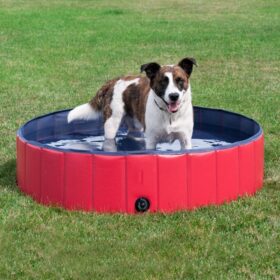 Hunde-Pool, Pool für Hunde, swimming-pool für Hunde, Hunde-Schwimmbad, kaufen schweiz