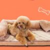 Hunde-Sofa
