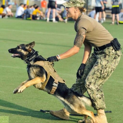 Taktisches Militär Hunde Geschirr