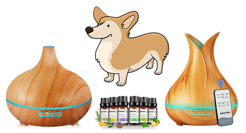 Luftbefeuchter Aromatherapie für Hunde