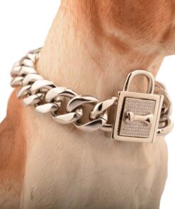 Hunde Ketten-Halsband, Goldkette Hunde Halsband, Edelstahl-Halsband, Haustier-Shop