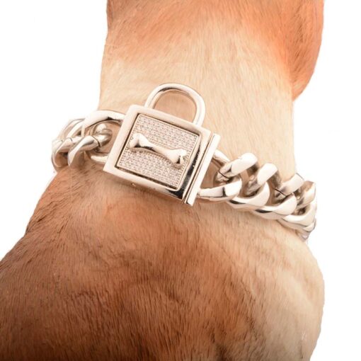 Hunde Ketten-Halsband, Goldkette Hunde Halsband, Edelstahl-Halsband, Haustier-Shop