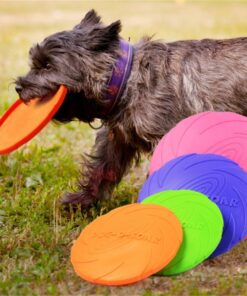 Hunde-Frisbee, zum Apportieren, Trainieren, Schweiz