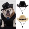 Cowboy Hut für Hunde