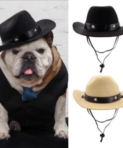 Cowboy Hut für Hunde