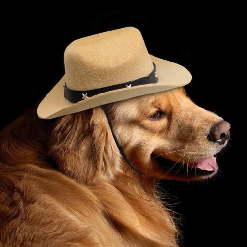 Hunde Hut Cowboy
