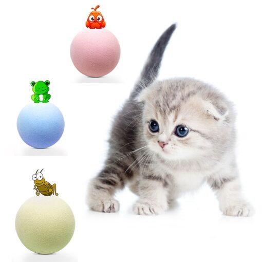 Katzenspielzeug Ball Katzenminze