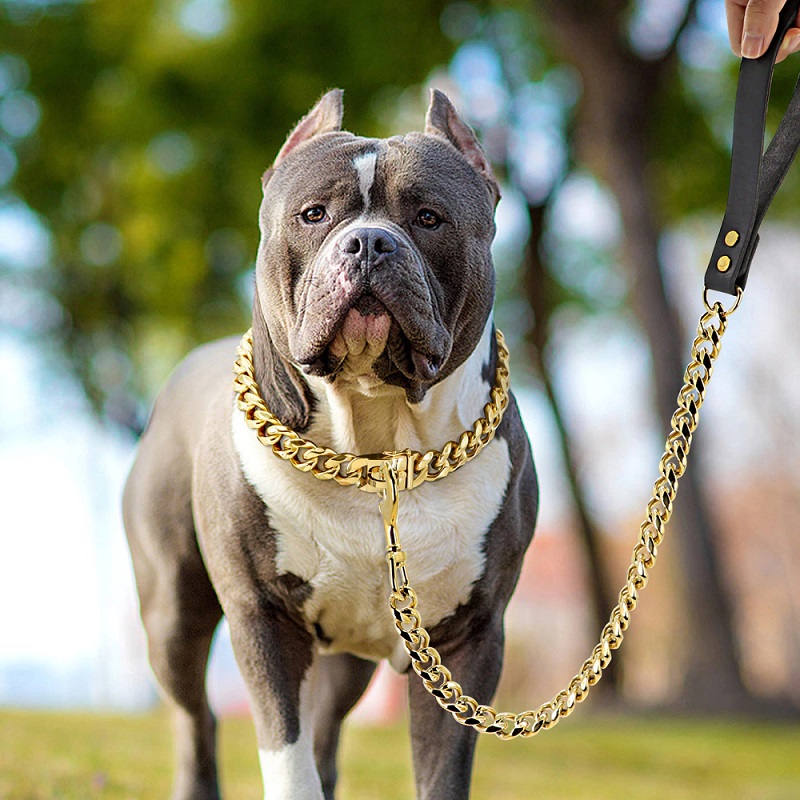Verziertes Halsband für Hunde Mytheresa Herren Accessoires Schmuck Halsketten 