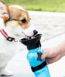Trinkflasche für Hunde