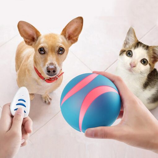 Interaktiver Katzen Spielzeug Smart-Ball