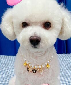 Hunde Luxus Schmuck Halskette
