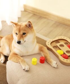 Hunde Montessori IQ Training Spielzeug