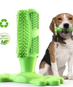 Hunde Zahnreinigung Kauknochen grün