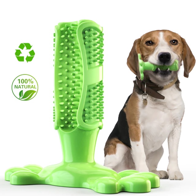 Hunde Zahnreinigung Kauknochen grün