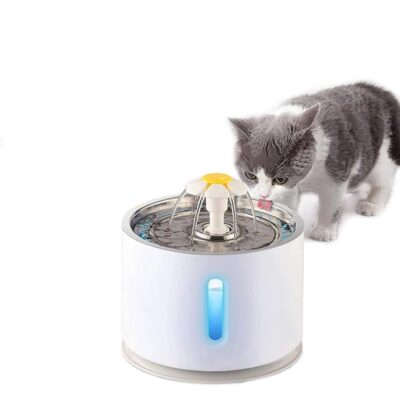 automatischer Wasser Katzenbrunnen Haustierbrunnen LED