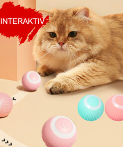 Interaktiver Ball für Hunde und Katzen kaufen