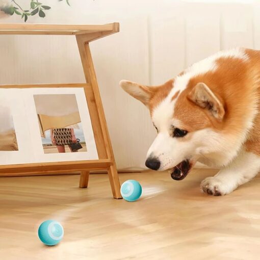 Interaktiver Ball für Hunde und Katzen kaufen