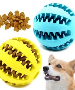 Hunde Spielzeug-Ball "Leckerli-Ball" kaufen Schweiz