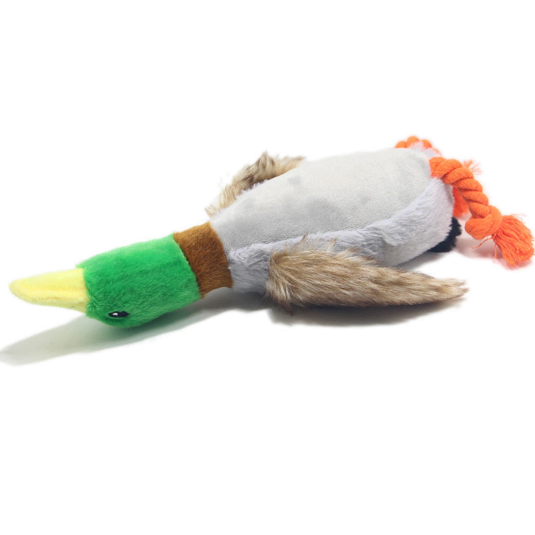 Hundespielzeug "Quietsch-Ente" kaufen