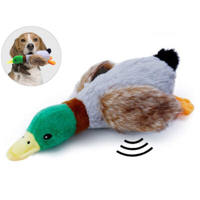 Hundespielzeug "Quietsch-Ente" kaufen