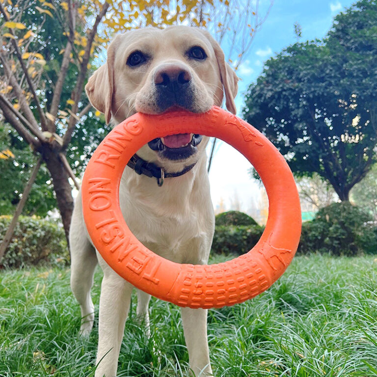 Hundespielzeug Aus Gummi – Elastischer Kauspaß Mit Sound, 2 Stück, Für Training & Gegen Langeweile