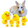 Gummi-Ente für Hunde kaufen